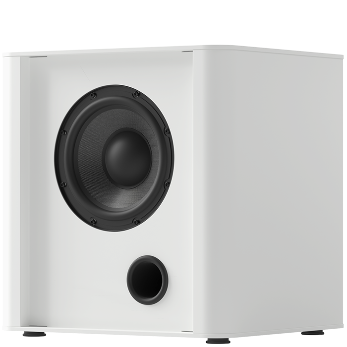 Piega PS 101 subwoofer